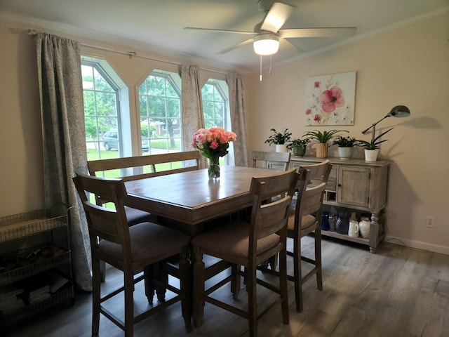 25893 Clark St, Novi, MI 48375 - dining area with crown molding, plenty of natural light, light wood-style floors, and a ceiling fan
