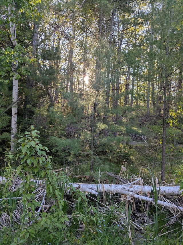 512 S Grandview Beach Rd, Indian River, MI 49749