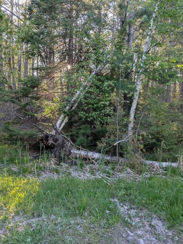 512 S Grandview Beach Rd, Indian River, MI 49749