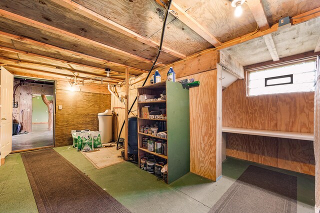 4450 50th Ave, Sears, MI 49679 - basement with a water softener system and wooden walls