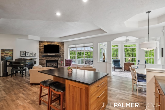 7149 Armadale Ct NE, Belmont, MI 49306 - kitchen featuring a raised ceiling, wood finished floors, a stone fireplace, dark countertops, and open floor plan