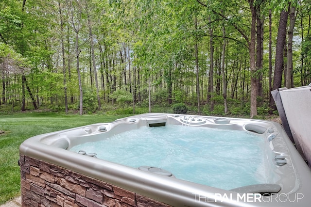 7149 Armadale Ct NE, Belmont, MI 49306 - exterior view of a hot tub and a heavily wooded area