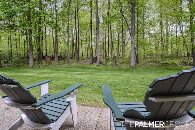 7149 Armadale Ct NE, Belmont, MI 49306 - view of green lawn with a forest view