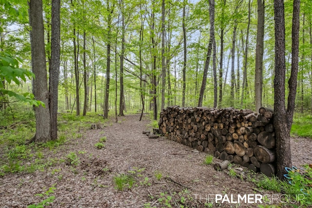 7149 Armadale Ct NE, Belmont, MI 49306 - view of woods