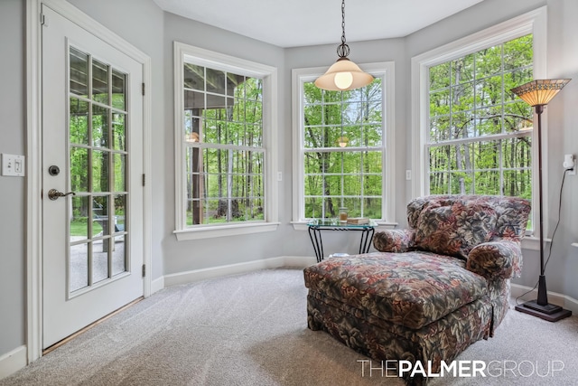 7149 Armadale Ct NE, Belmont, MI 49306 - sitting room with carpet, baseboards, and healthy amount of natural light