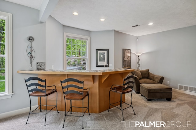 7149 Armadale Ct NE, Belmont, MI 49306 - bar with carpet, baseboards, and recessed lighting