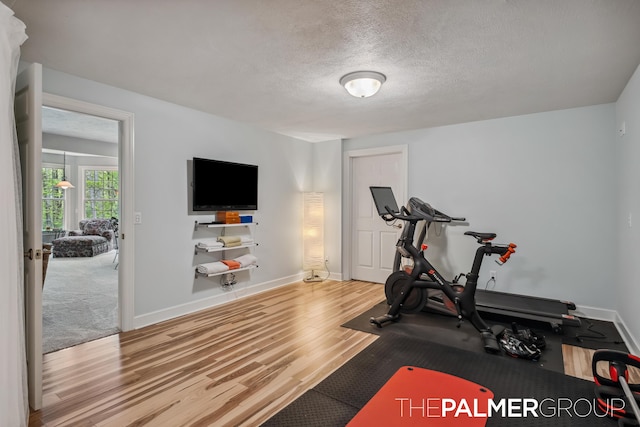 7149 Armadale Ct NE, Belmont, MI 49306 - workout area featuring wood finished floors, a textured ceiling, and baseboards