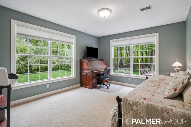 7149 Armadale Ct NE, Belmont, MI 49306 - bedroom with baseboards, carpet, and multiple windows