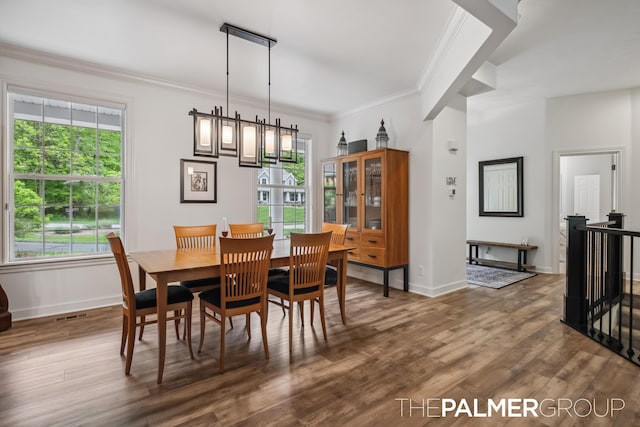 7149 Armadale Ct NE, Belmont, MI 49306 - dining area with wood finished floors, plenty of natural light, baseboards, and crown molding
