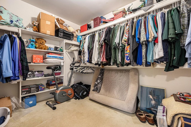 3311 Hickory Dr, Lake Orion, MI 48359 - spacious closet featuring carpet