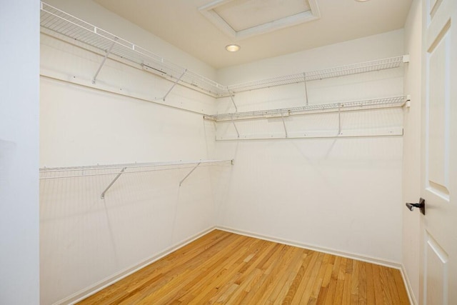 4936 Ravine Ct, Ann Arbor, MI 48105 - walk in closet featuring attic access and light wood-type flooring