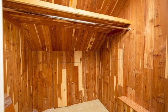 4936 Ravine Ct, Ann Arbor, MI 48105 - storage area featuring a sauna / steam room
