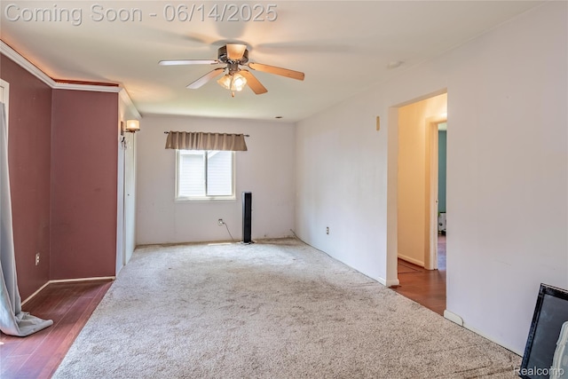5633 Detroit St, Flat Rock, MI 48125 - unfurnished room with a ceiling fan and carpet