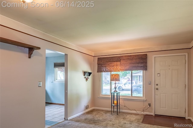 5633 Detroit St, Flat Rock, MI 48125 - foyer featuring healthy amount of natural light