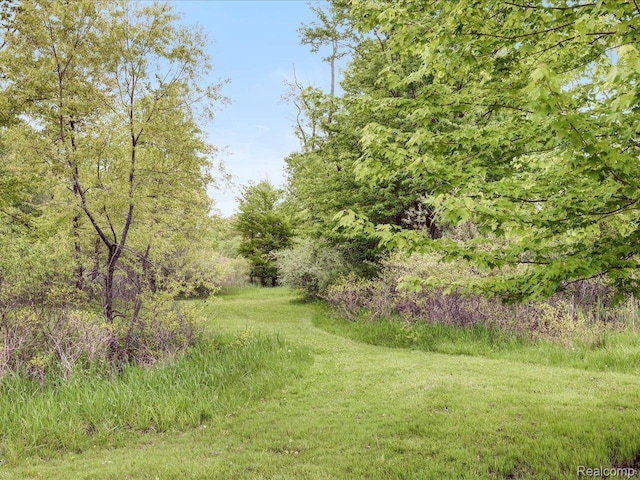13350 Imlay City Rd, Emmett, MI 48022 - photo 43
