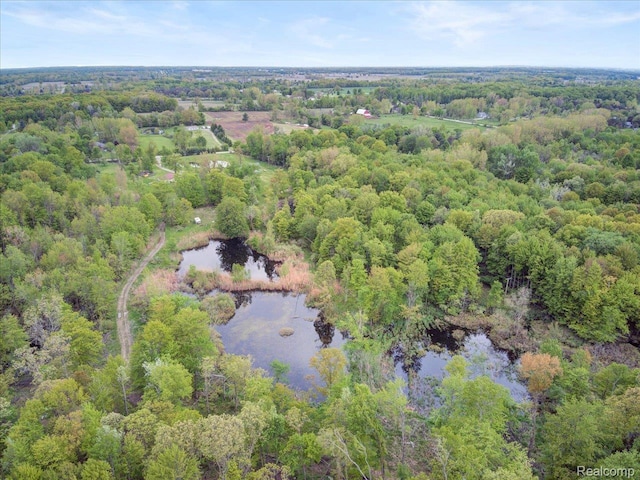 13350 Imlay City Rd, Emmett, MI 48022 - photo 47