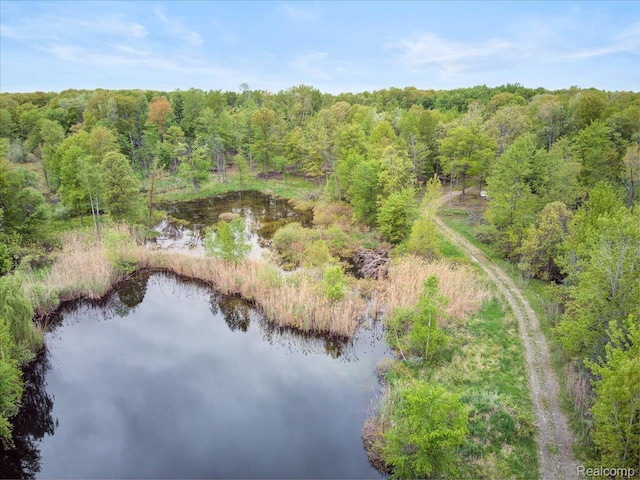 13350 Imlay City Rd, Emmett, MI 48022 - photo 49