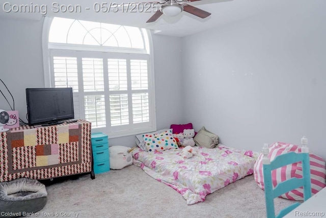 329 Baintree Blvd, Brighton, MI 48114 - photo 24