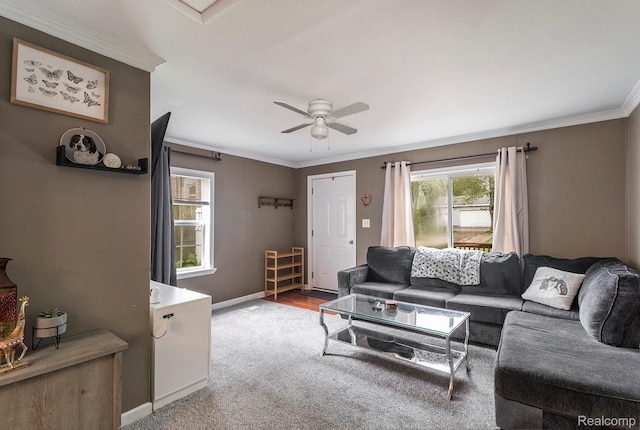 2305 Hester Ct, Keego Harbor, MI 48320 - carpeted living area with ornamental molding, baseboards, ceiling fan, and healthy amount of natural light