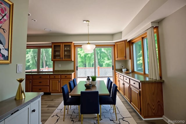 2626 Winter Dr, Troy, MI 48083 - dining space featuring dark wood-style flooring and healthy amount of natural light