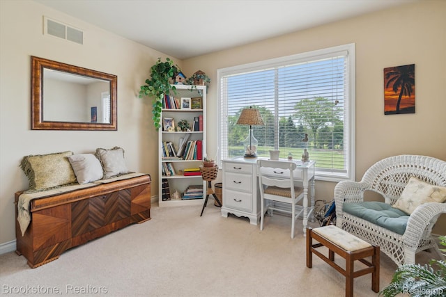 27820 29 Mile Rd, Lenox, MI 48048 - home office with light colored carpet