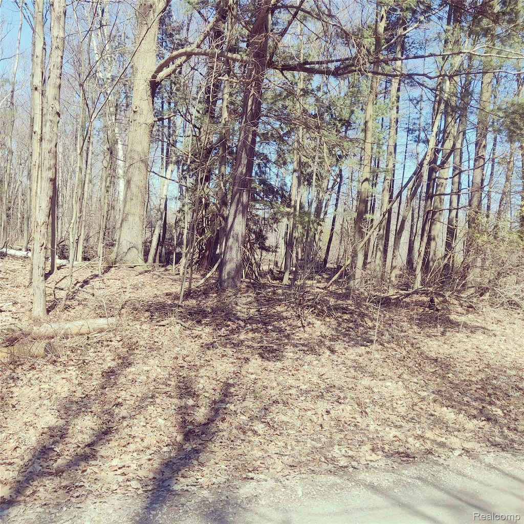 0 Schott Rd, Harbor Beach, MI 48441 - photo 2
