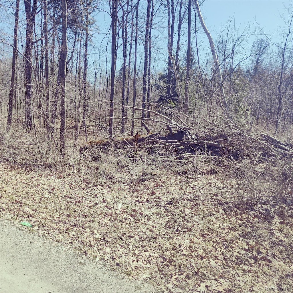 0 Schott Rd, Harbor Beach, MI 48441 - photo 3