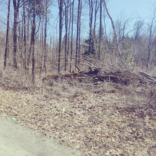 0 Schott Rd, Harbor Beach, MI 48441 - photo 3