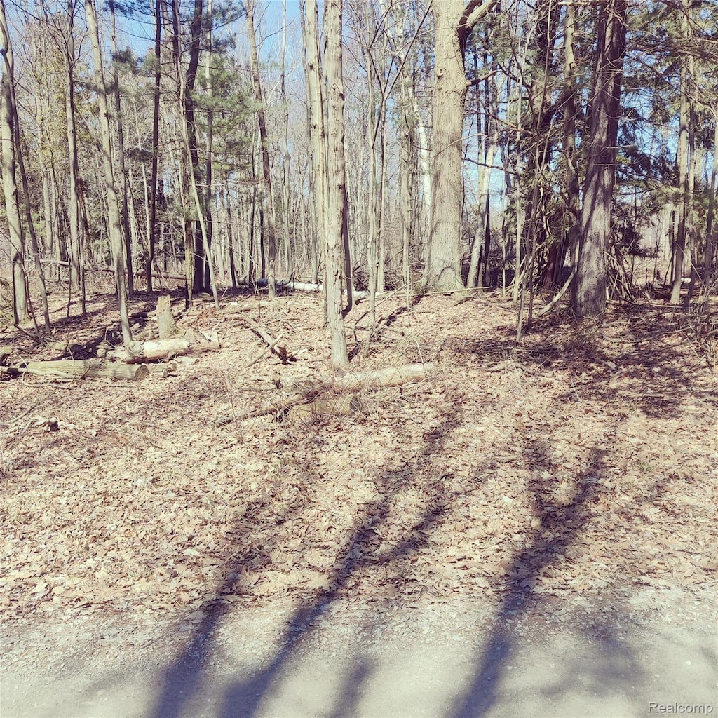 0 Schott Rd, Harbor Beach, MI 48441 - photo 4