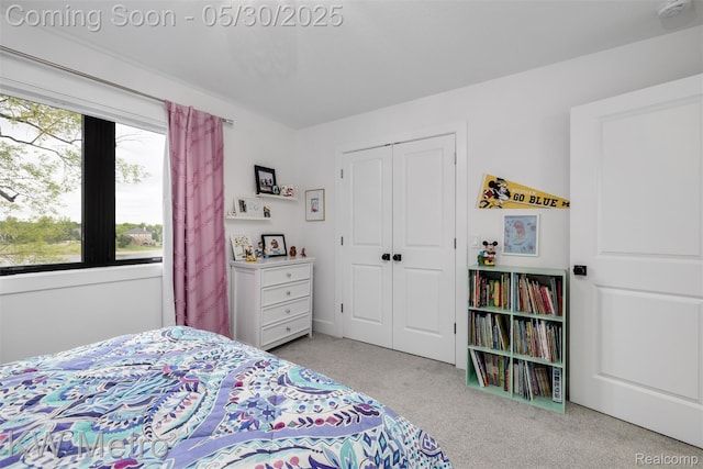 1585 Kriss Crossing Rd, Brighton, MI 48114 - bedroom with light carpet and a closet