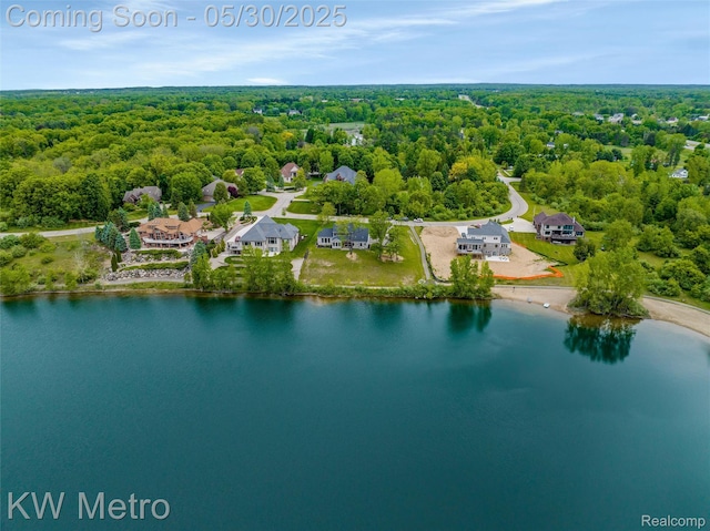 1585 Kriss Crossing Rd, Brighton, MI 48114 - drone / aerial view of a forest and a large body of water