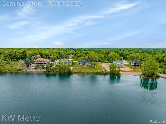 1585 Kriss Crossing Rd, Brighton, MI 48114 - aerial view of a forest and a large body of water