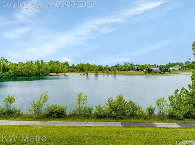 1585 Kriss Crossing Rd, Brighton, MI 48114 - water view