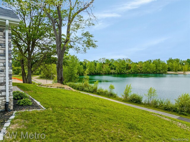 1585 Kriss Crossing Rd, Brighton, MI 48114 - water view