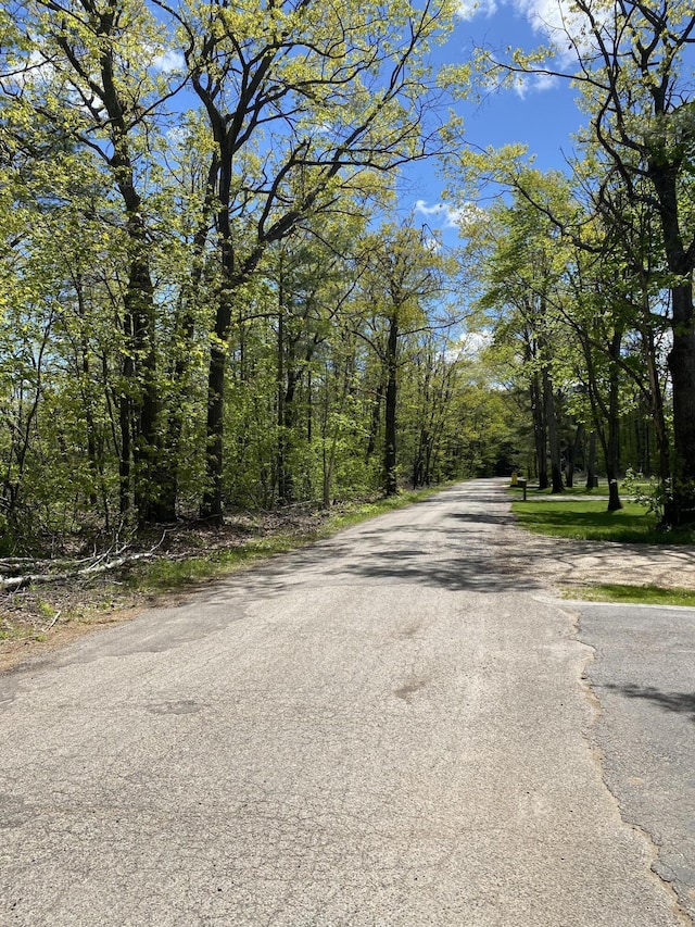 4516 Wah Wah Soo Dr, Gaylord, MI 49735 - view of asphalt road