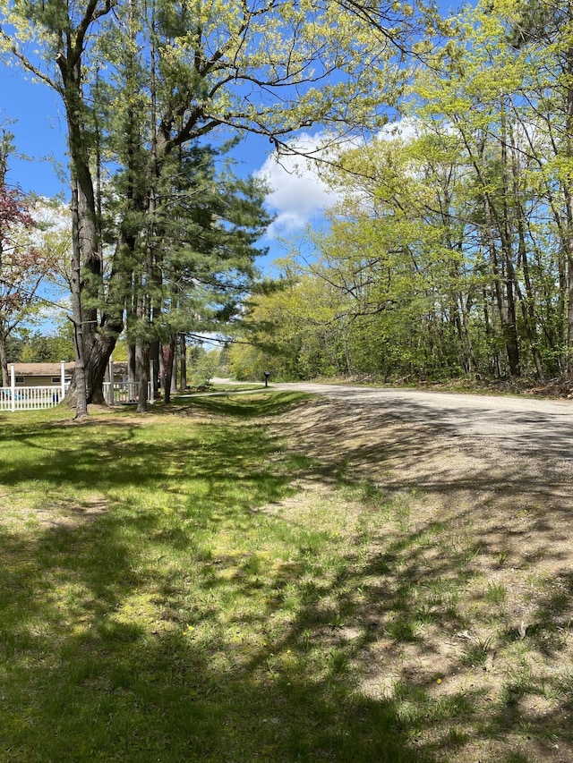 4516 Wah Wah Soo Dr, Gaylord, MI 49735 - view of green lawn