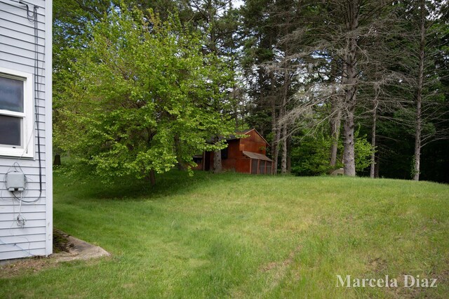 9555 Eastern Ave SE, Byron Center, MI 49315 - view of yard