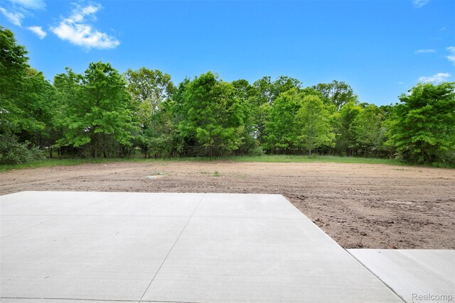 3097 Gecko Trl, Pinckney, MI 48169 - view of patio