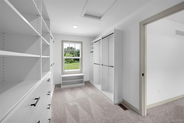 3097 Gecko Trl, Pinckney, MI 48169 - spacious closet featuring light colored carpet