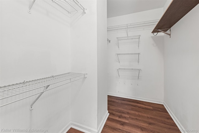 42900 Ledgeview Dr, Novi, MI 48377 - spacious closet with wood finished floors