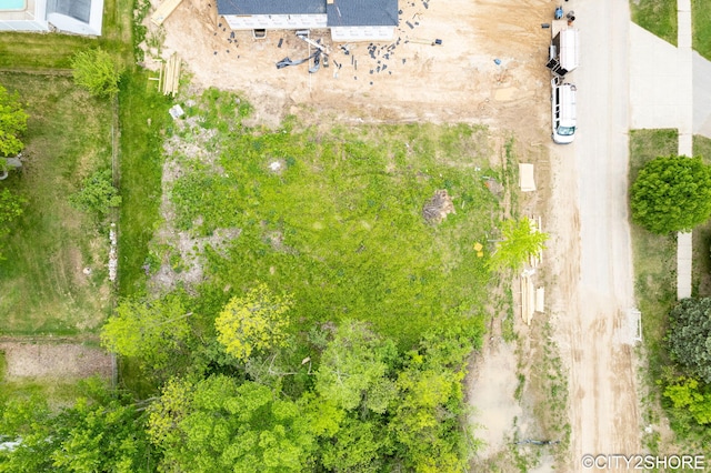 322 E Ash St NE, Cedar Springs, MI 49319 - bird's eye view