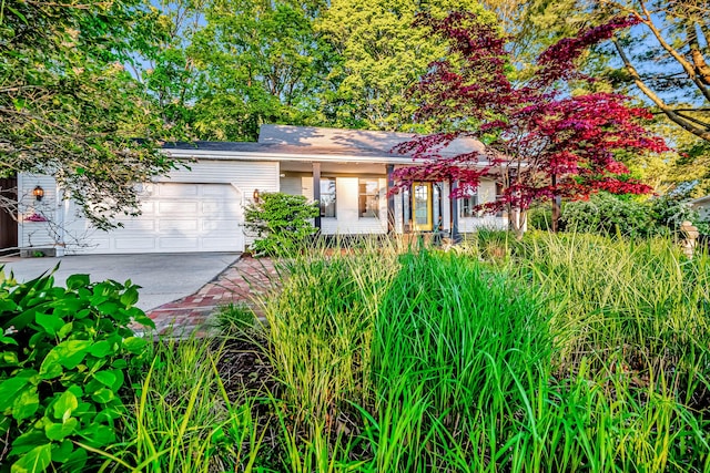 9180 Dicey St, Montague, MI 49437 - view of front of property featuring a garage and concrete driveway