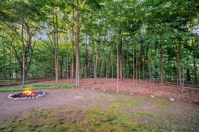 9180 Dicey St, Montague, MI 49437 - view of yard with an outdoor fire pit and a forest view