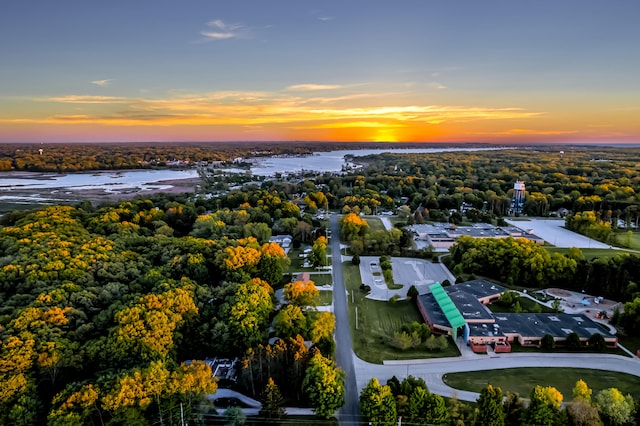 9180 Dicey St, Montague, MI 49437 - aerial view of a large body of water