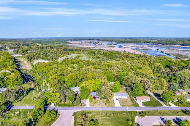9180 Dicey St, Montague, MI 49437 - aerial view of property and surrounding area with a forest and a nearby body of water