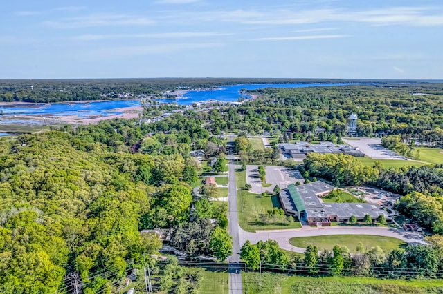 9180 Dicey St, Montague, MI 49437 - drone / aerial view of a large body of water and a forest