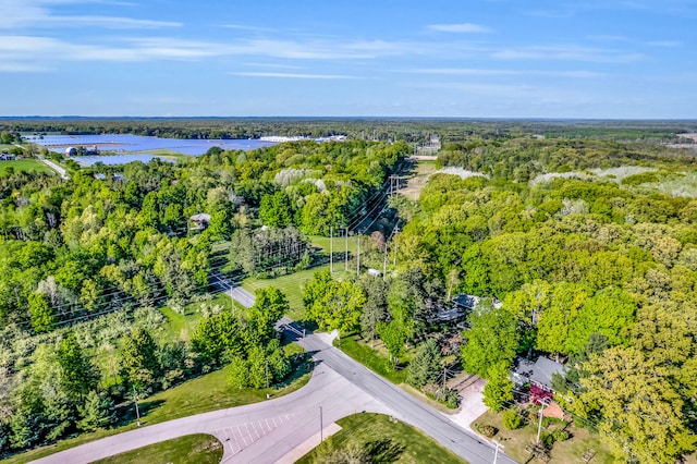 9180 Dicey St, Montague, MI 49437 - drone / aerial view of a large body of water and a forest