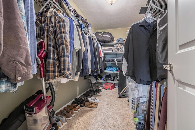 69218 Sundance Dr, Edwardsburg, MI 49112 - walk in closet with carpet flooring