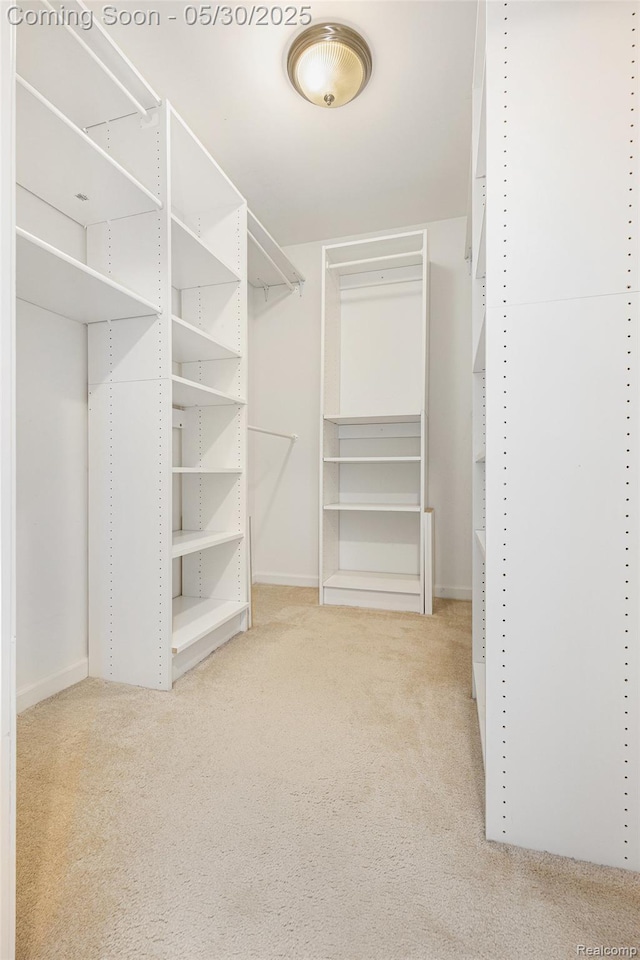 6769 Boulder Pointe Dr, Washington, MI 48094 - spacious closet with carpet