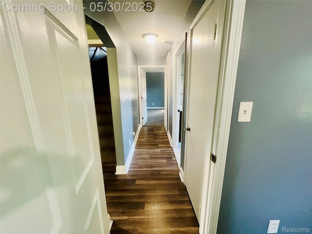 22380 Panama Ave, Sterling Heights, MI 48091 - hall featuring dark wood finished floors and baseboards